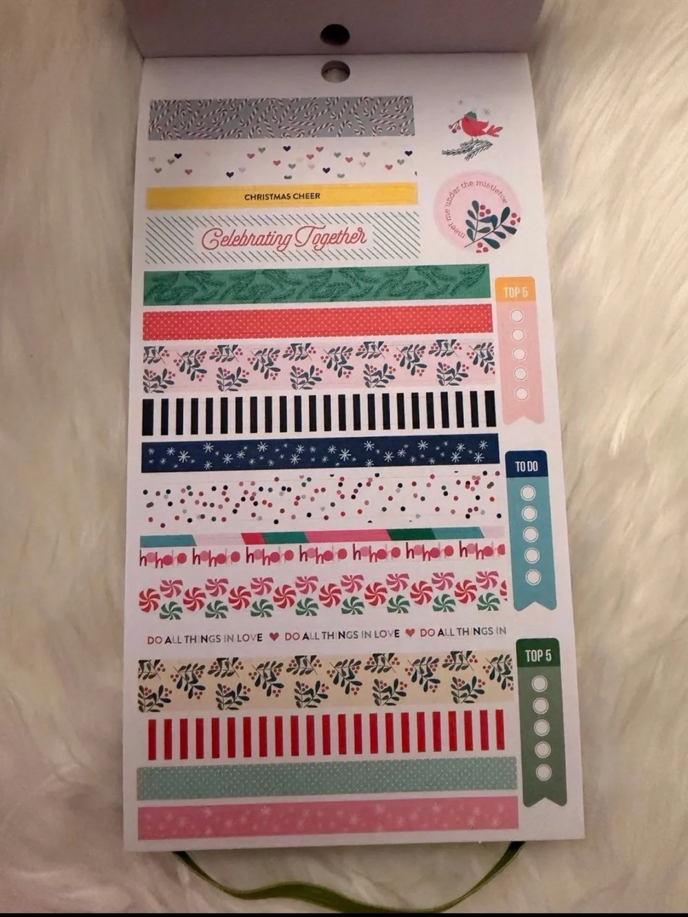 The Happy Planner “Christmas Joy” Mini Sticker Book - Green/Red/Blue